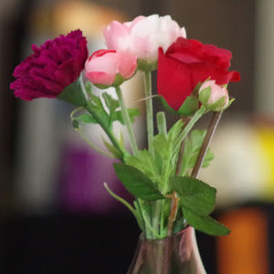 Meet your Posher, Manasa